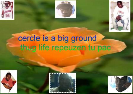 slt